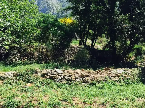 Plac – Blizikuće, Budva — fotografija 3