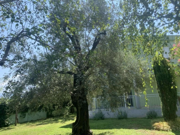 Kuća 175 m² – Velje Brdo, Podgorica — fotografija 4