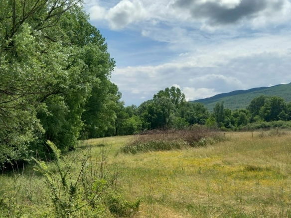 Plac 8.500 m² – Danilovgrad — fotografija 3