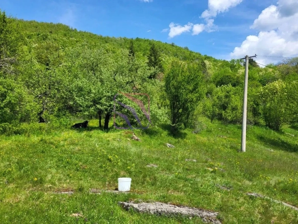 Plac 160.000 m² – Centar, Nikšić — fotografija 6