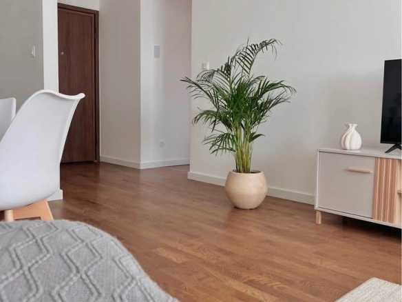 Jednosoban stan 45 m² – Stari aerodrom, Podgorica — fotografija 6