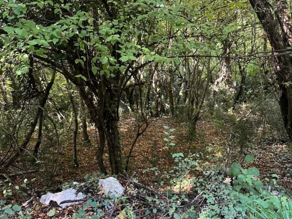 Plac 47.894 m² – Spuž, Danilovgrad — fotografija 2