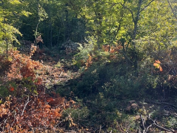 Plac 47.894 m² – Spuž, Danilovgrad — fotografija 3