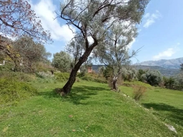 Plac s pogledom na more u Mrčevcu