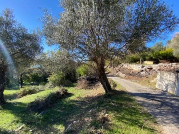 Plac 1.258 m² – Tivat — fotografija 2