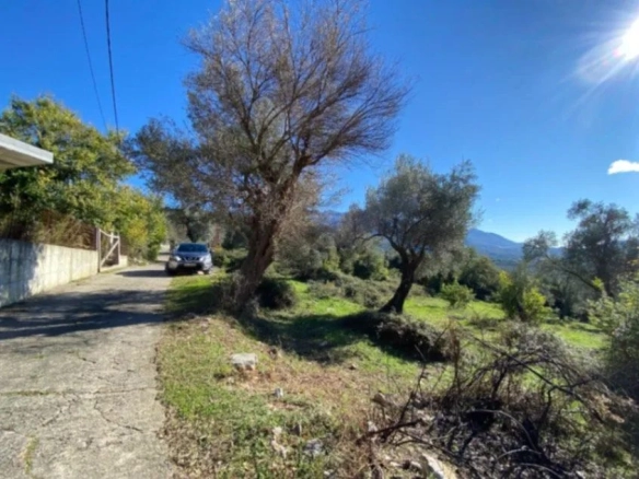 Plac 1.258 m² – Tivat — fotografija 3