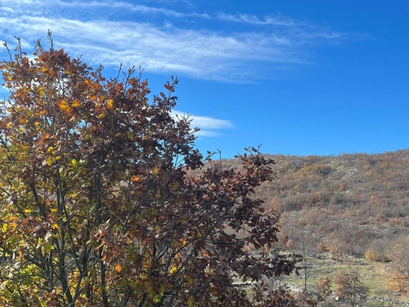 Plac 253 m² – Nikšić — fotografija 3