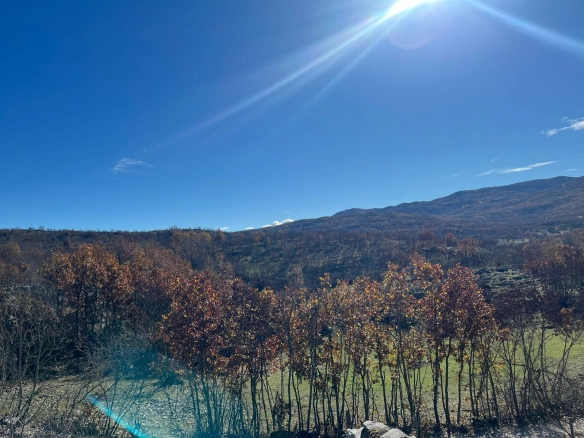 Plac 253 m² – Nikšić — fotografija 4