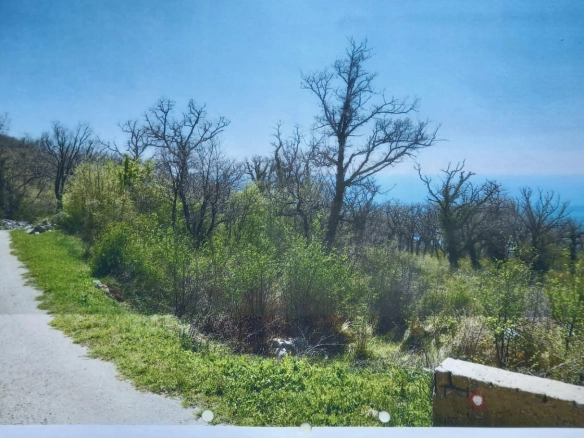 Plac 546 m² – Kuljače, Budva — fotografija 4