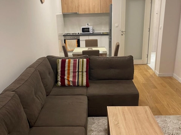 Jednosoban stan 472 m² – Central Point, Podgorica