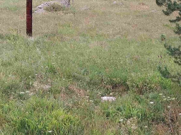 Plac od 1600 m² u Borju, Žabljak — fotografija 4