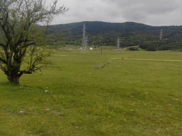 Plac u mjestu Njegovuđa, Žabljak — fotografija 5
