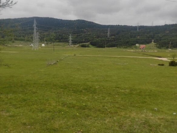 Plac u mjestu Njegovuđa, Žabljak — fotografija 6