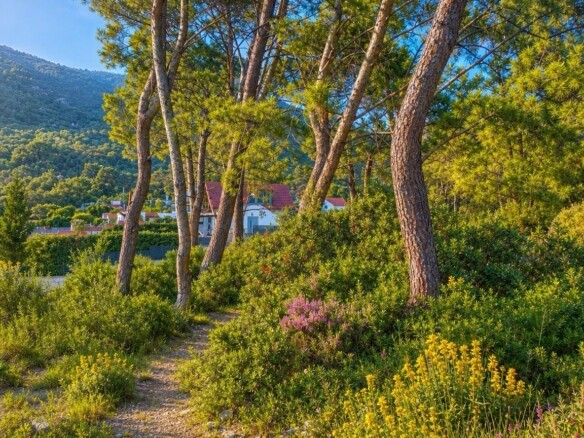 Plac 1.500 m² – Tivat — fotografija 3