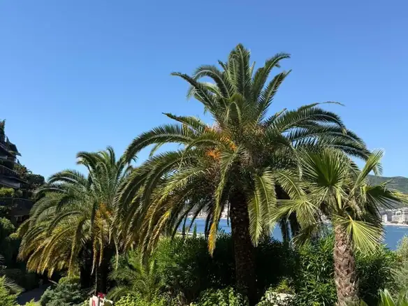 Jednosoban stan 78 m² – Budva — fotografija 10