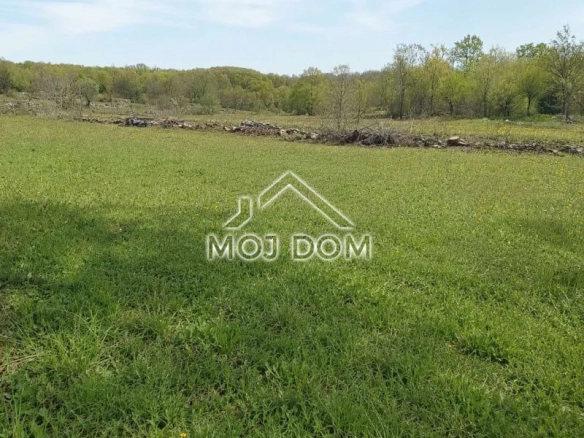 Plac 4.607 m² – Danilovgrad — fotografija 3