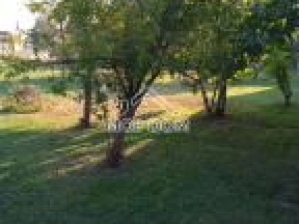 Plac 514 m² – Donja Gorica, Podgorica — fotografija 5