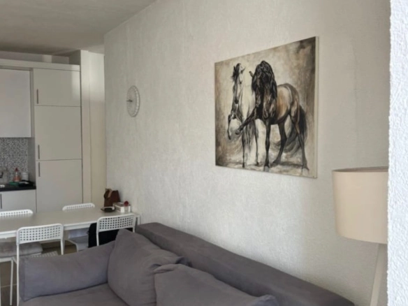 Jednosoban stan 43 m² – Preko Morače, Podgorica — fotografija 2