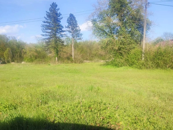 Plac 5000 m² u Ćurilcu, Danilovgrad — fotografija 3