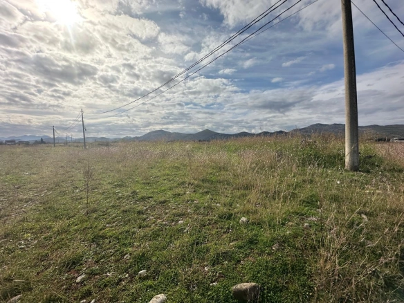 Plac u Kokotima, Podgorica — fotografija 2