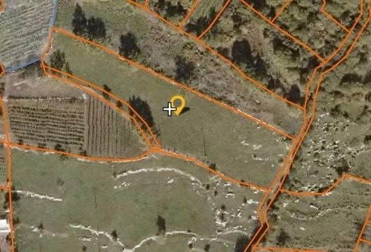 Plac 3.700 m² – Danilovgrad — fotografija 6