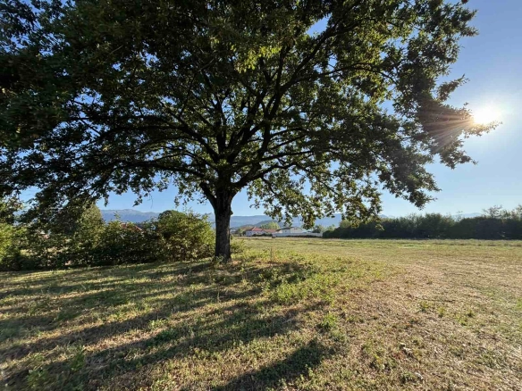 Plac 17.168 m² – Danilovgrad — fotografija 16