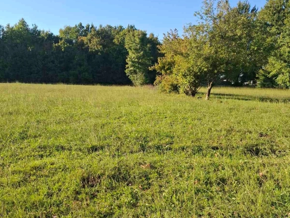 Plac 2.881 m² – Danilovgrad — fotografija 4