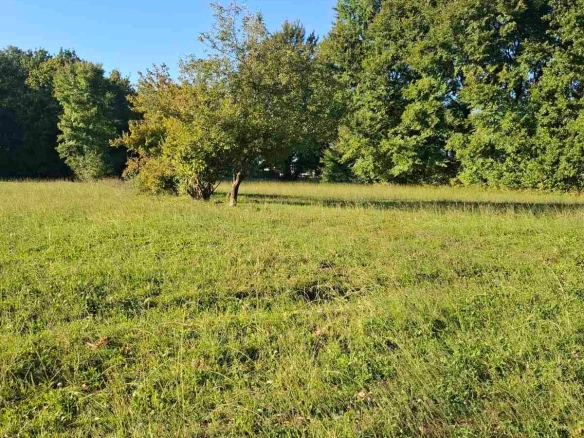 Plac 2.881 m² – Danilovgrad — fotografija 6