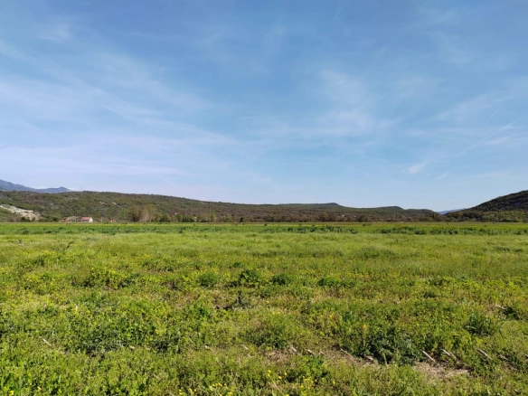 Plac 3.132 m² – Danilovgrad — fotografija 2