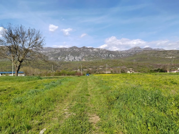 Plac 3.132 m² – Danilovgrad — fotografija 4