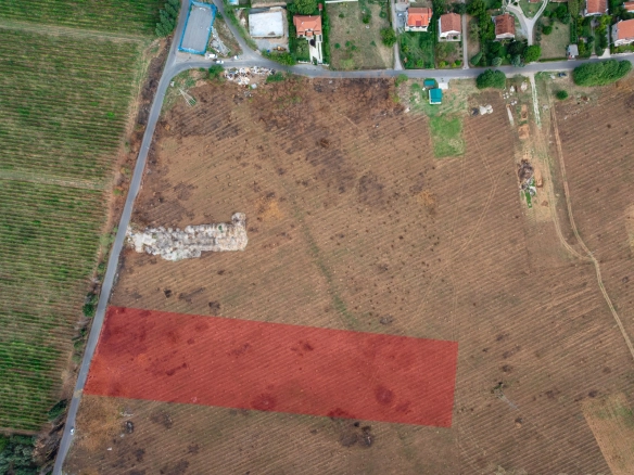 Plac 13.003 m² – Gornja Gorica, Podgorica — fotografija 13