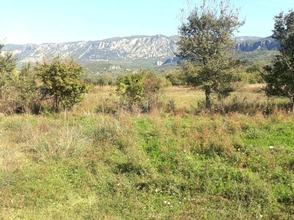 Plac 4.209 m² – Spuž, Danilovgrad — fotografija 2