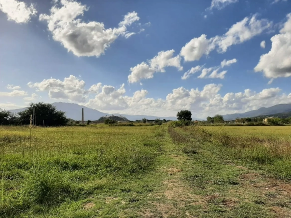 Poljoprivredno zemljište u Spužu, Danilovgrad — fotografija 3