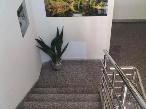 Kuća 707 m² – Herceg Novi — fotografija 6