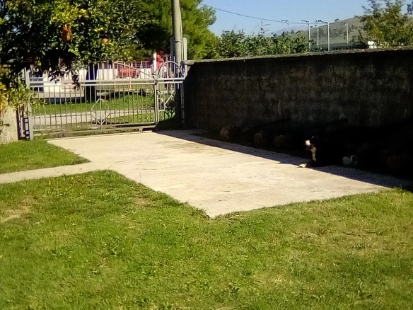 Kuća 50 m² – Donja Gorica, Podgorica — fotografija 3
