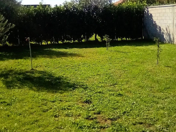 Kuća 50 m² – Donja Gorica, Podgorica — fotografija 4