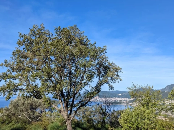 Plac 700 m² – Sveti Stefan, Budva — fotografija 2
