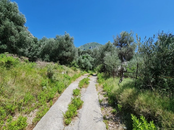 Plac 14.443 m² – Bar — fotografija 2