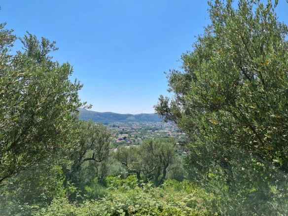 Plac 14.443 m² – Bar — fotografija 3