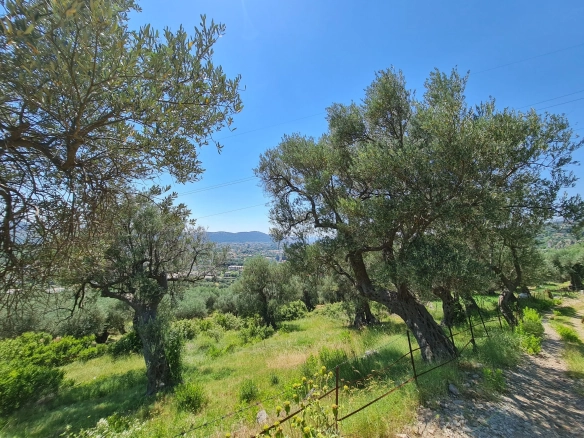 Plac 14.443 m² – Bar — fotografija 5