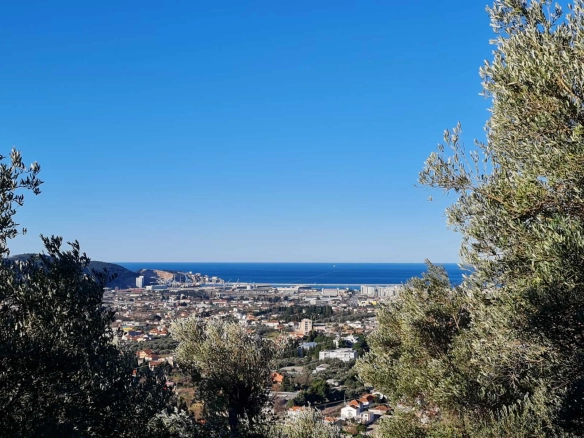 Plac 14.443 m² – Bar — fotografija 7