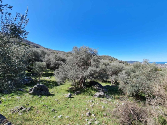 Plac 3.160 m² – Bartula, Bar — fotografija 2