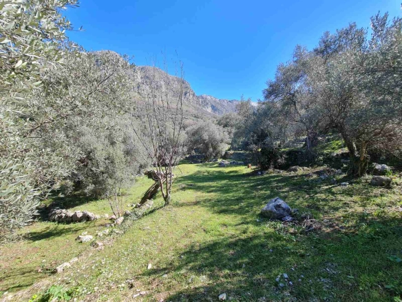 Plac 3.160 m² – Bartula, Bar — fotografija 5