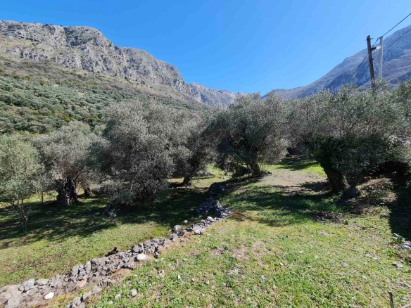 Plac 3.160 m² – Bartula, Bar — fotografija 6