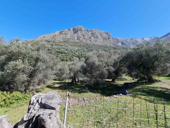 Plac 3.160 m² – Bartula, Bar — fotografija 7