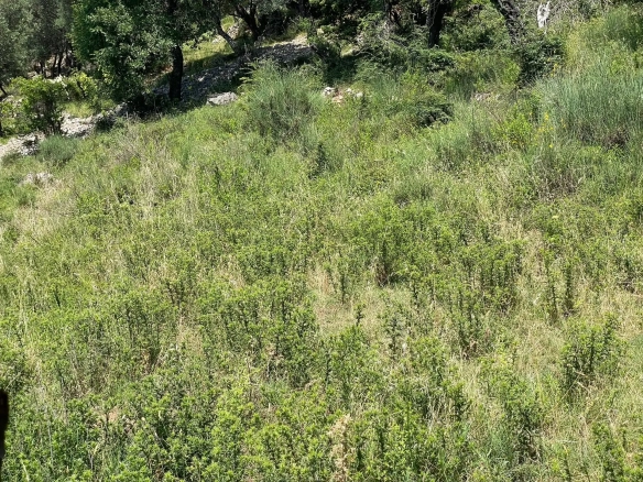 Kuća 100 m² – Đenovići, Herceg Novi — fotografija 5