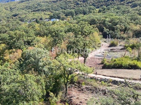 Plac 5.400 m² – Zupci, Bar — fotografija 3