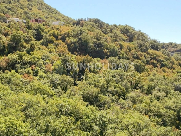 Plac 5.400 m² – Zupci, Bar — fotografija 4