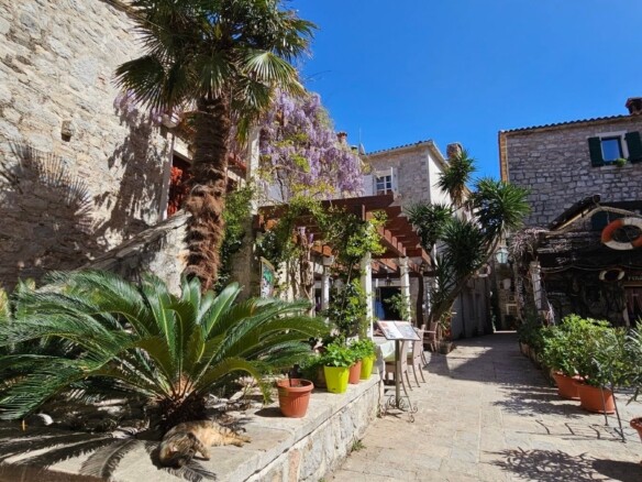 Izdavanje jednosobnog stana – Stari grad, Budva (01.11.2026–01.06.2027)