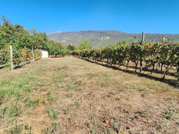 Kuća 162 m² sa vinogradom i placom od 2.710 m² – Danilovgrad